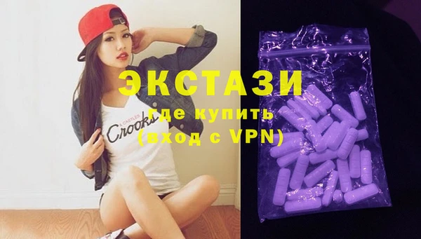 молекула духа Богданович
