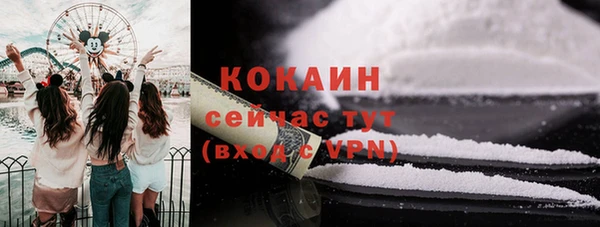 молекула духа Богданович