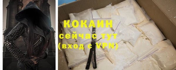 молекула духа Богданович