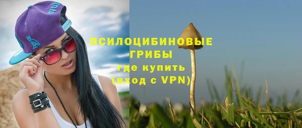 молекула духа Богданович