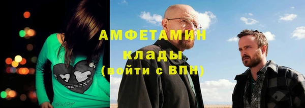 молекула духа Богданович