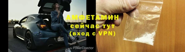 молекула духа Богданович
