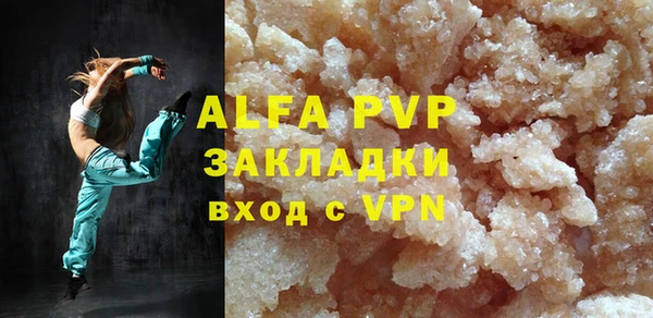 молекула духа Богданович