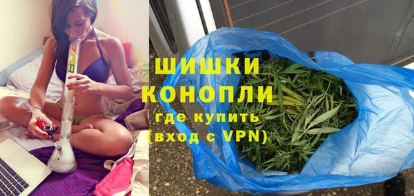 молекула духа Богданович