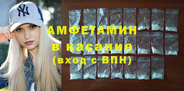 молекула духа Богданович