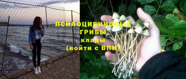 бутират Богородицк
