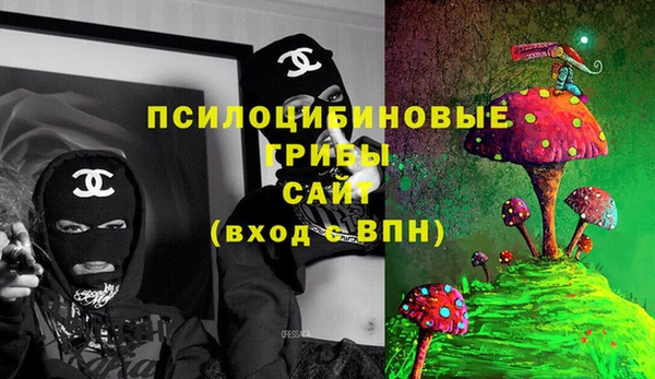 бутират Богородицк