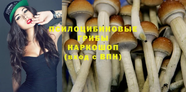 бутират Богородицк