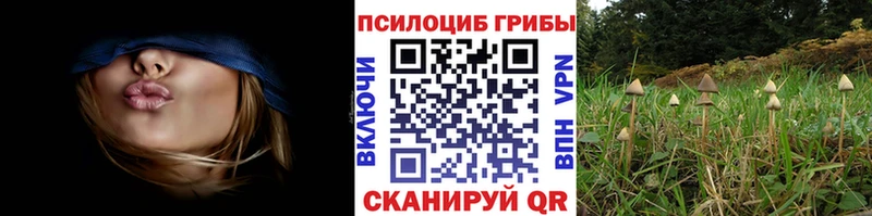 Псилоцибиновые грибы прущие грибы  купить   Мытищи 